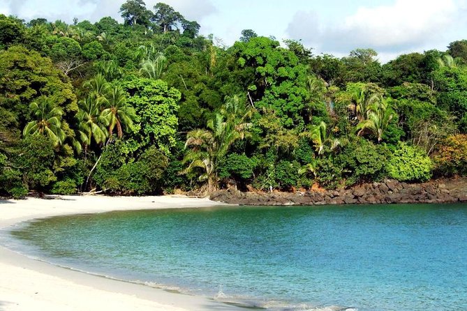 Manuel Antonio National Park Tour From San Jose.