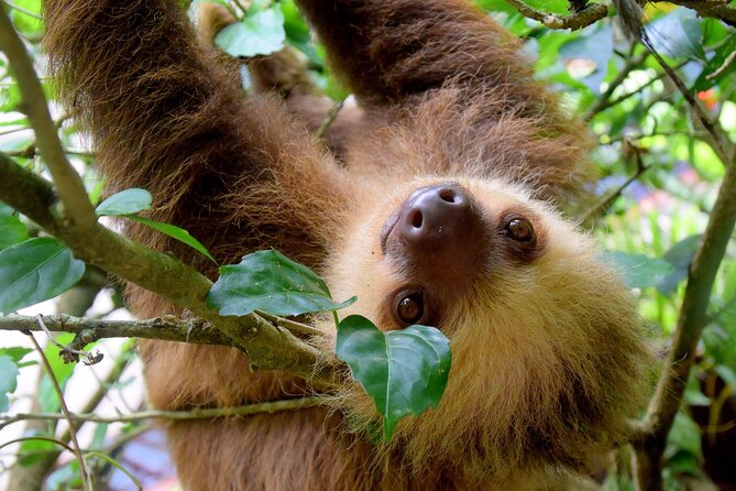 Manuel Antonio National Park (Transportation)