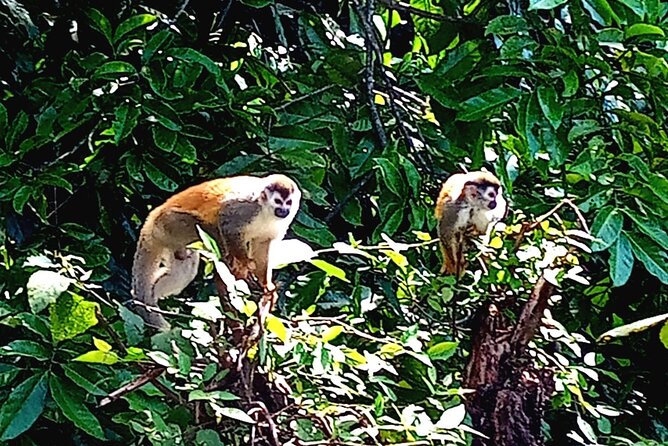 Manuel Antonio Rain Forest Park and Beach