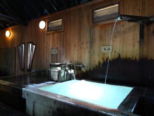 Manza Onsen Nisshinkan - Property Overview