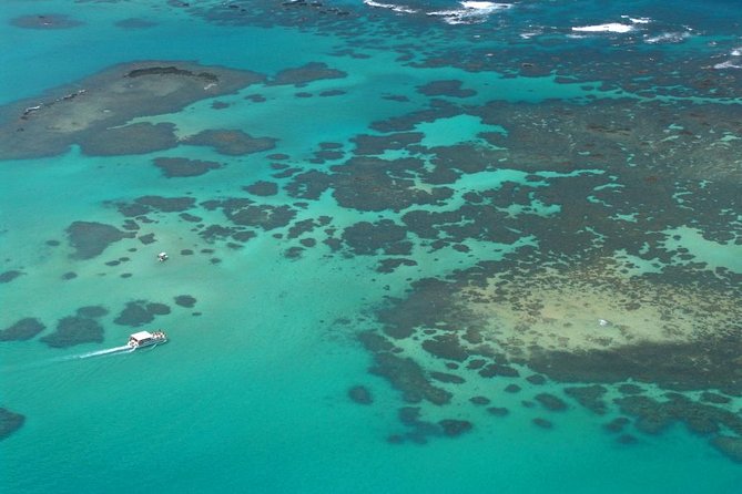 Maragogi Beach Gales Reef