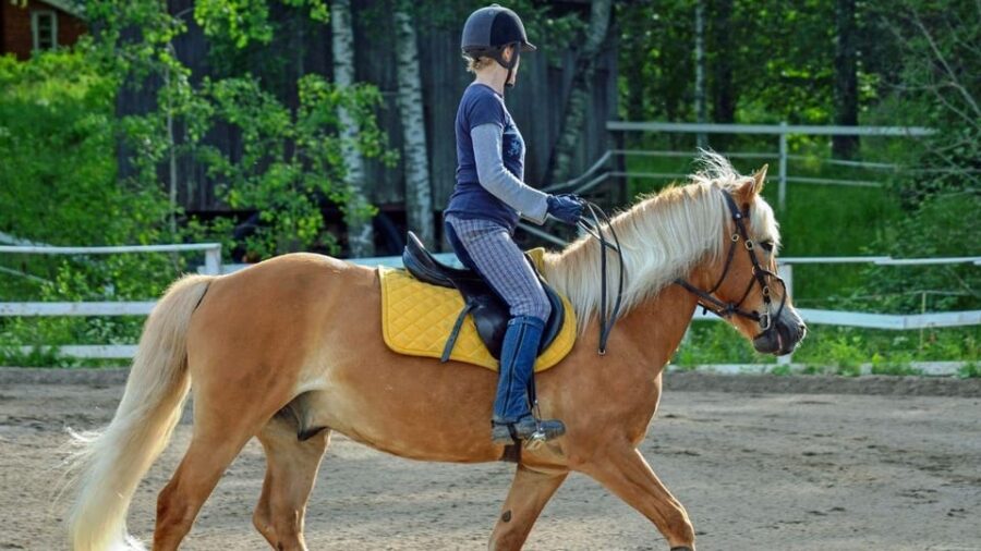 Marmaris Horse Safari