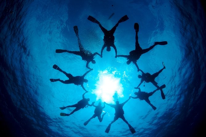 Marmaris & Icmeler Scuba Diving - Overview of the Experience