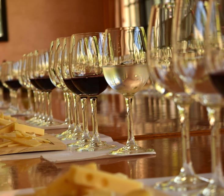 Marques De Casa Concha Tour / Wine Tasting - Overview of the Tour