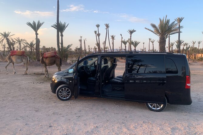 Marrakech City Tour With Driver - Half-Day