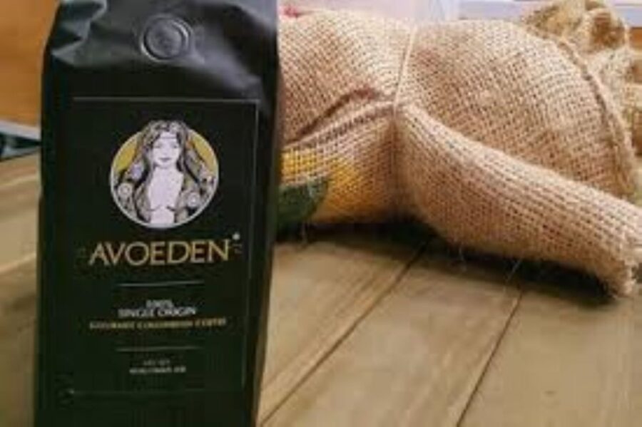 Medellin: Avoeden Café Coffee Brewing Workshop