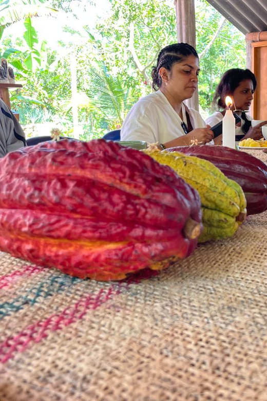 MEDELLÍN: CHOCOLATE TOUR & EXFOLIATION IN BEAUTIFUL RIVER! - Tour Overview and Details