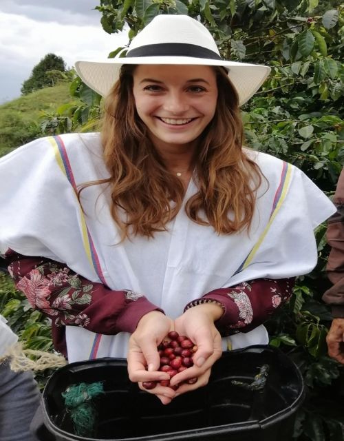 Medellín Coffee Farm Tour With Trolley and Cable Car Ride - Tour Overview