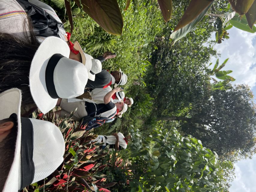 Medellin: Coffee Tour in the Beautiful Mountains of Medellin