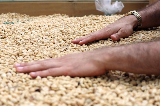 Medellín Hands-on Coffee Tour - Tour Overview