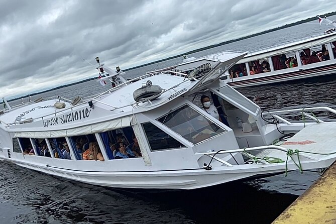Meeting of the Waters & Pink Dolphin Tour With Lunch