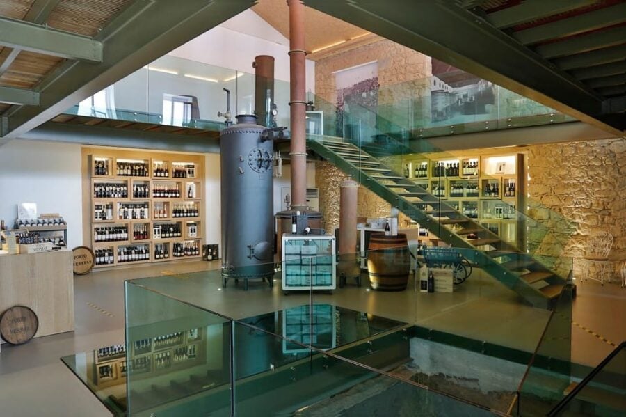 Messias: Cellar Tour + Sparkling Wine Tasting & Cheese Board