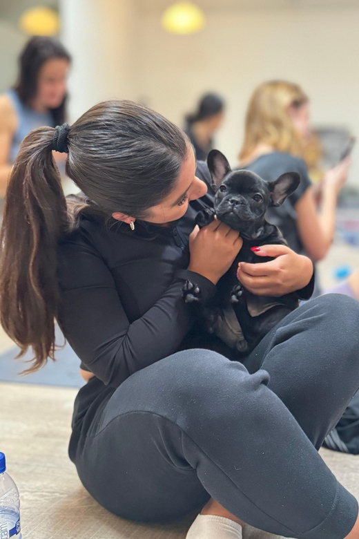 Mexico City: Puppy Yoga
