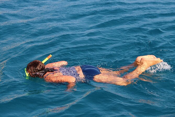 Miami: Snorkeling on Secluded Deserted Island - Secluded Island Sightseeing