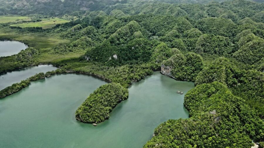 Miches: Los Haitises, Transfer, Walking & Boat Tour.