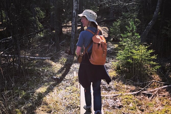 Midnight Sun and Campfire – Forest Evening Hike Outside Stockholm