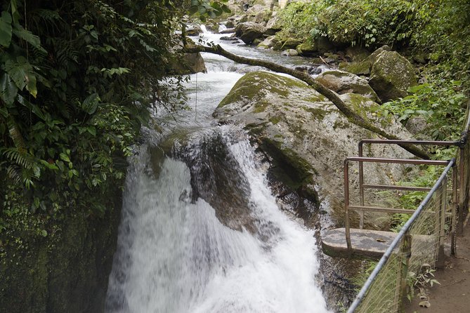 Mindo Cloudforest and Birdwatching From Quito by ECUADORTREASURE