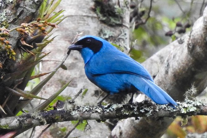 Mindo Private Transportation Full Day