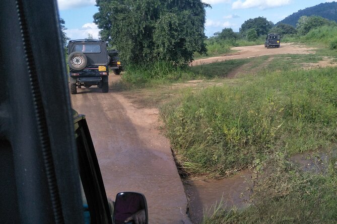 Minneriya / Kaudulla National Park Jeep Safari