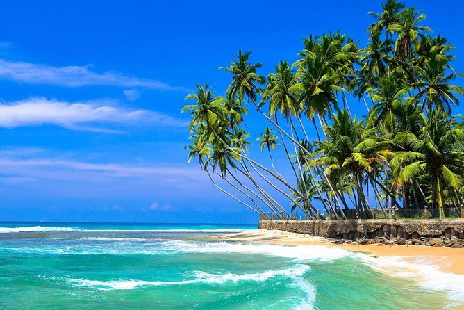 Mirissa/Weligama to Colombo Airport Private Taxi Transfer - Service Overview