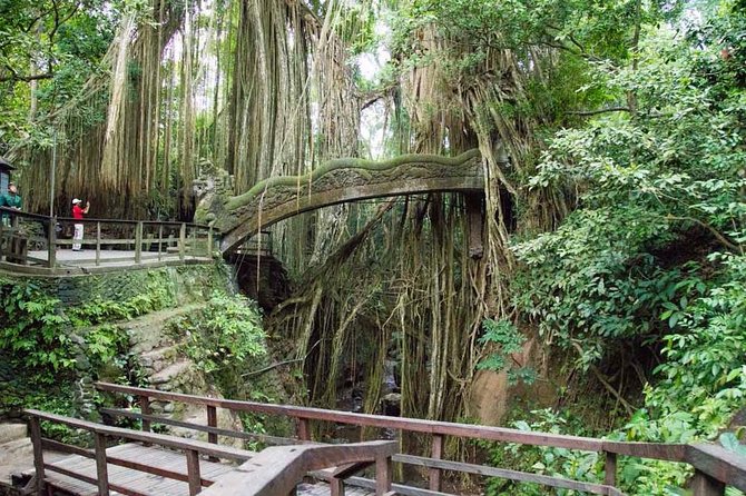 Monkey Forest Ubud Half Day Tour