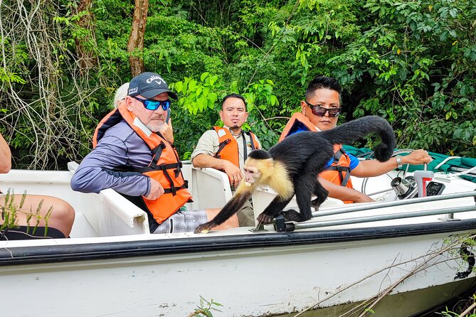 Monkey Island Tour + Nature Center From Riu Playa Blanca