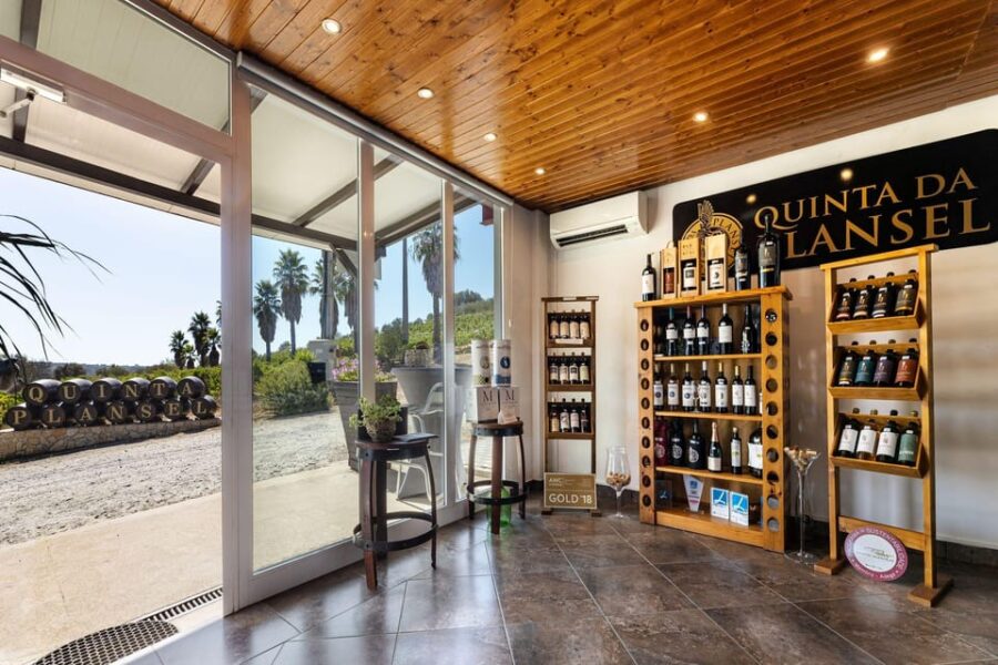Montemor-o-Novo: Wine Tasting and Winery Tour