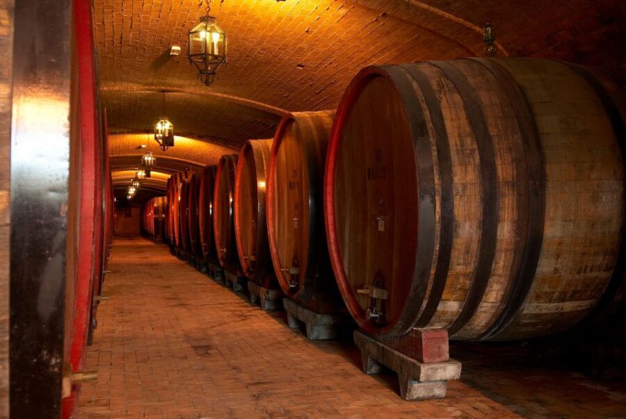 Montepulciano Wine Tour and Tasting Experience With Pairings