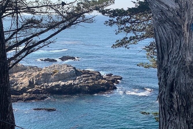Monterey Carmel Big Sur Pebble Beach by Luxury Vehicle 6 Hrs~