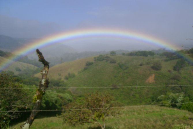 Monteverde Cloud Forest, Sloth, Hanging Bridges, Butterflies Tour