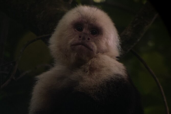 Monteverde Cloud Forest Tour