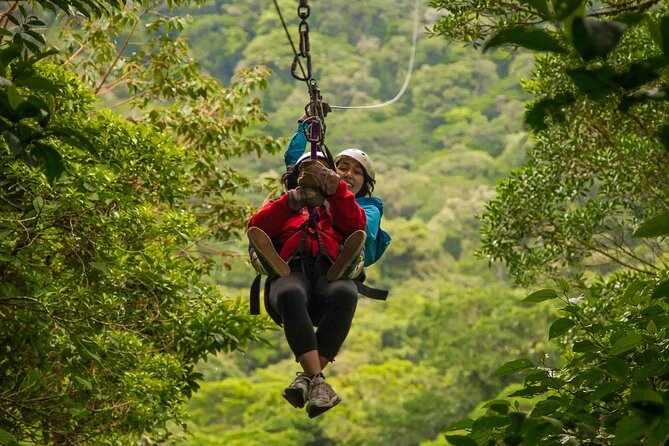 Monteverde Day Tour: Hanging Bridges + Extreme Zipline