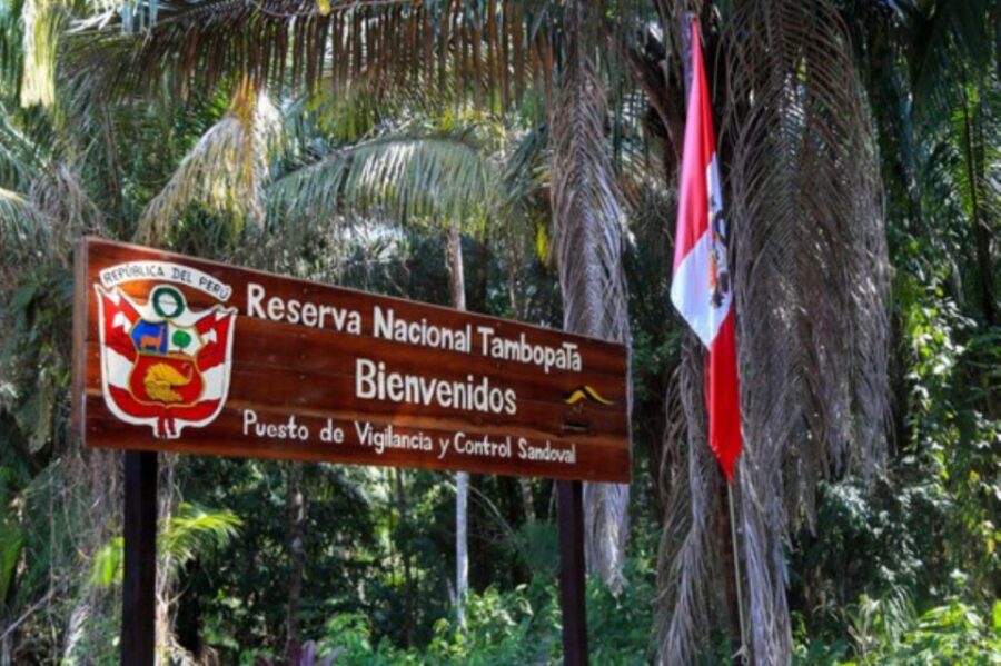 Mother of God | 4 Days Tambopata Tour With Ayahuasca Ceremony