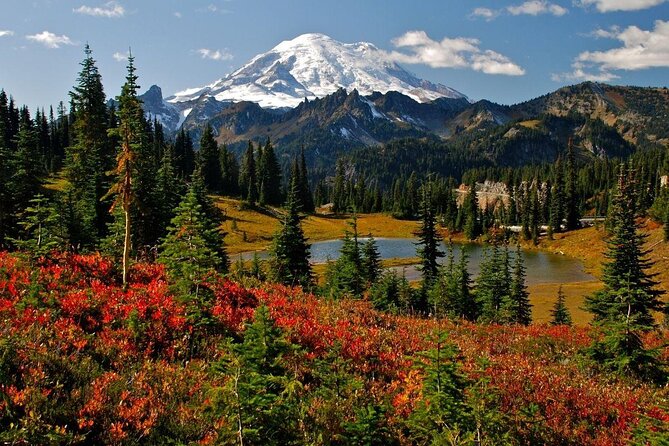 Mount Rainier Full Day Private Tour and Hike