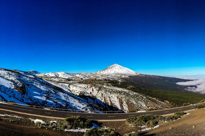 Mount Teide and Tenerife North With 5 Course Tasting Menu Private Tour - Discover Corona Forestal Nature Park