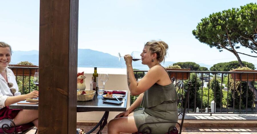 Mount Vesuvius: Wine Tasting Experience With Lunch Included
