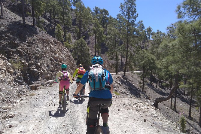Mountain Bike Excursions