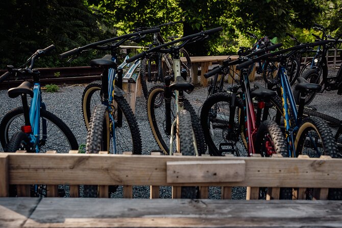 Mountain Bike Tour From the Roanoke Star