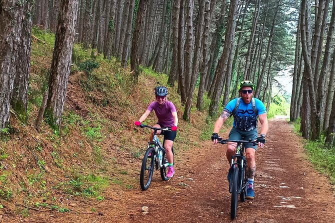 Mountain Biking on Vrmac Peninsula - Panoramic View on Kotor Bay
