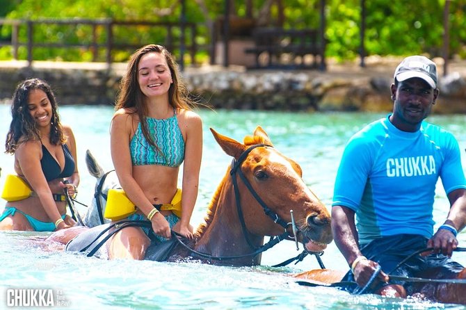Mountain-To-Sea Horseback Ride and Swim at Sandy Bay - Overview of the Activity