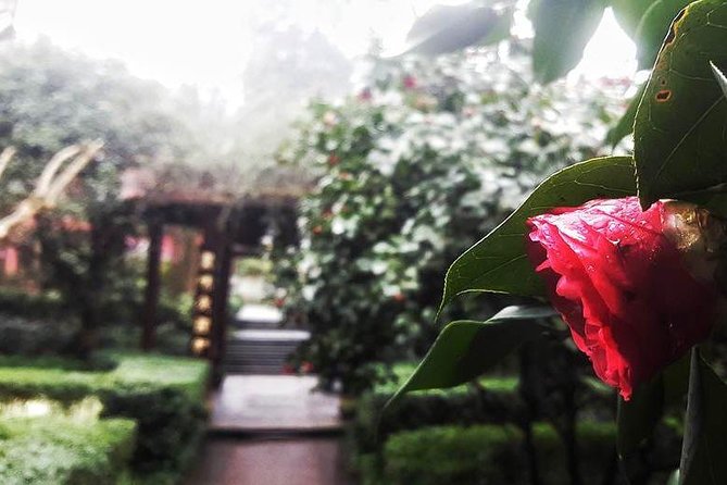 Mt Emei 1 Day Tour