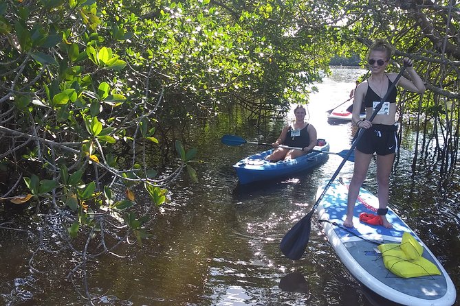 3 Best Canoe And Kayak Experiences In Naples