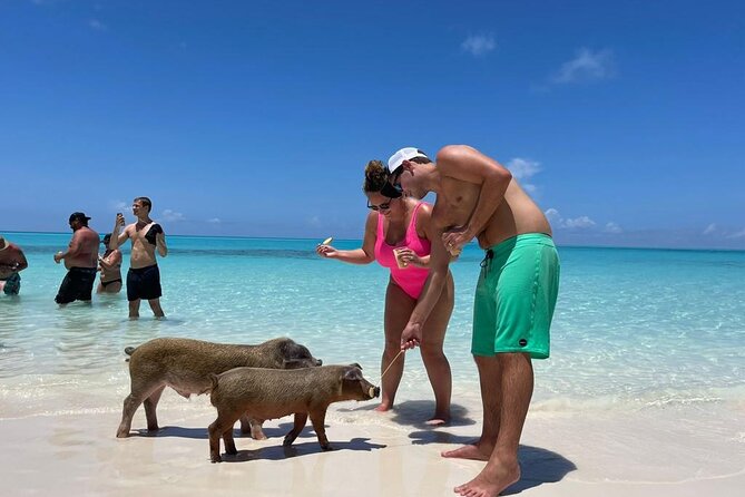 Nassau Harbor Boat Tour: Blue Lagoon, Pig Island, and More
