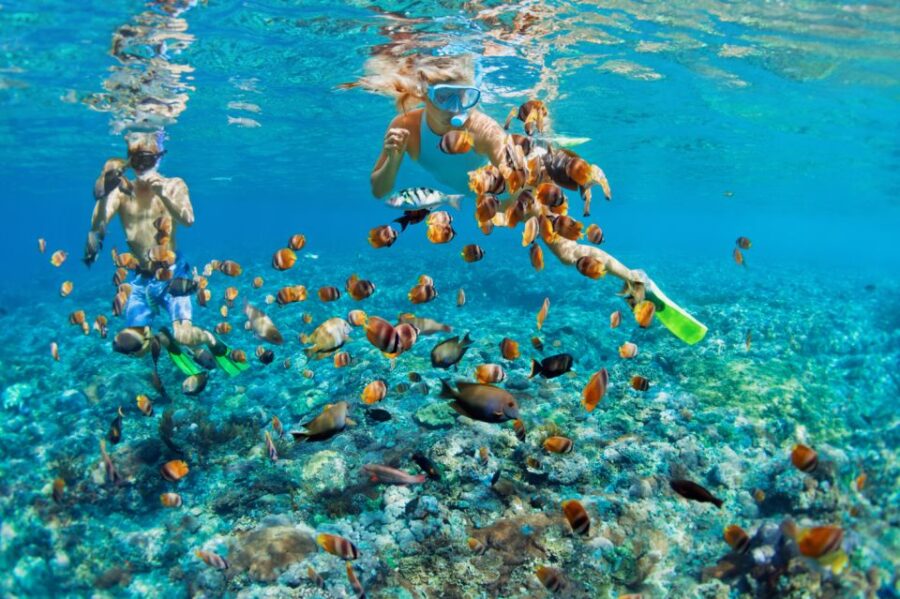 Nassau: Rose Island Boat Tour W/ Snorkeling & Swimming Pigs
