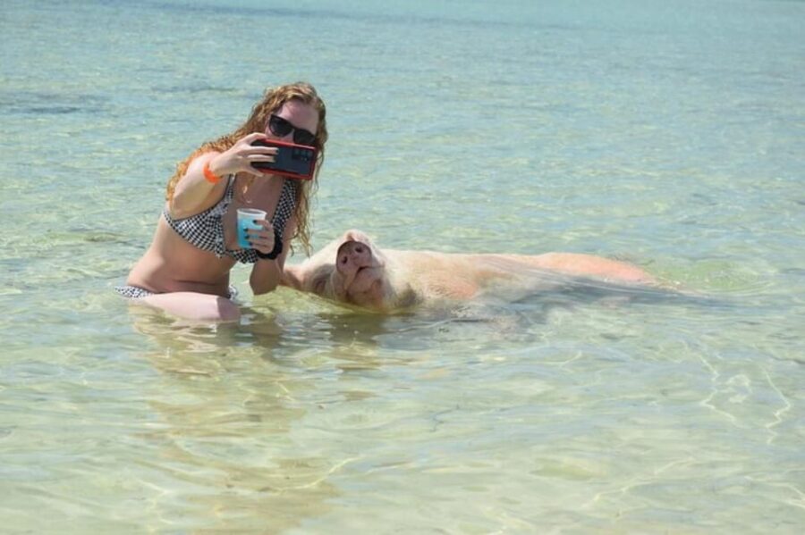 Nassau: Swim With Pigs & Scenic Boat Ride