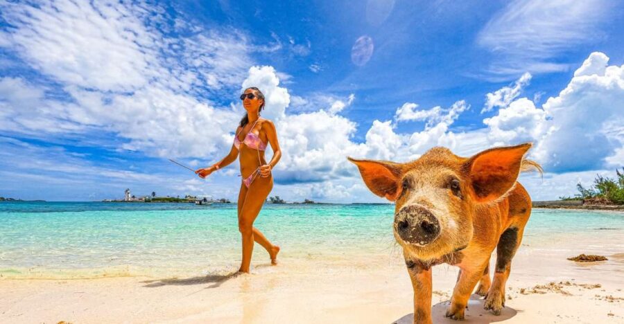 Nassau: Swimming Pigs, Snorkeling and Beach Boat Tour