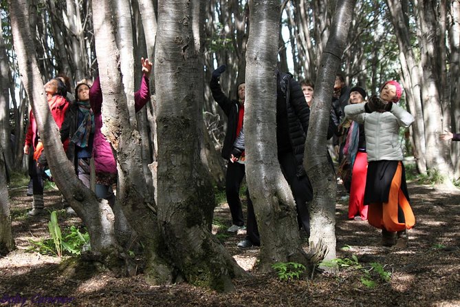 Naturaldanza Dance in Nature