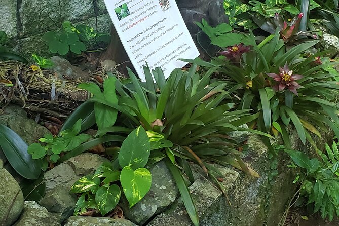 Nature and Sightseeing Tour at Phantasea Tropical Botanical Garden