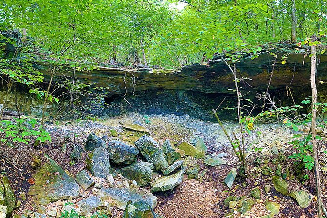 Nature and Wildlife Self-Guided Golf Car Tour in Reeds Spring