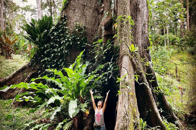 Nature & Forest Therapy Guided Walk in Puerto Viejo